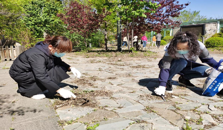 1705044863986703.png 1705044863986703.png